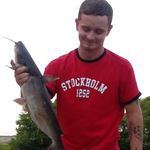 Meet your Posher, Bates